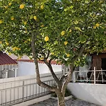 Semesterbostad In Near Lisbon And 15 Min From The - Casa Acolhedora Em Perto De Lisboa E Da