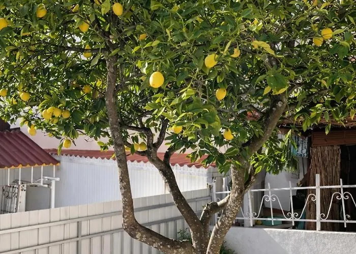 Дом отдыха Casa Acolhedora A 15m Da